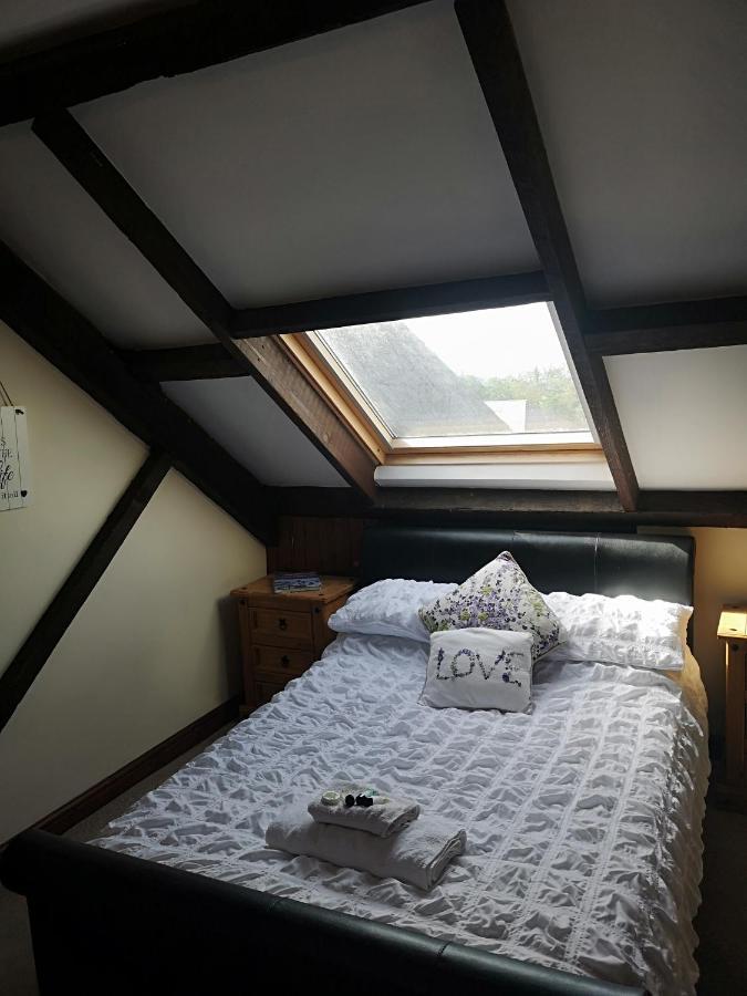 Red Lion Hotel Ystrad Meurig Zewnętrze zdjęcie